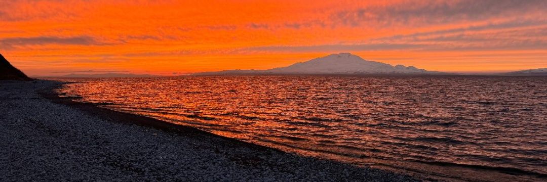 NeziheEli's profile banner image