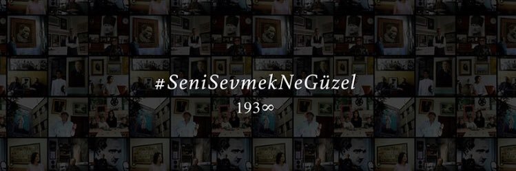 sselma19's profile banner image