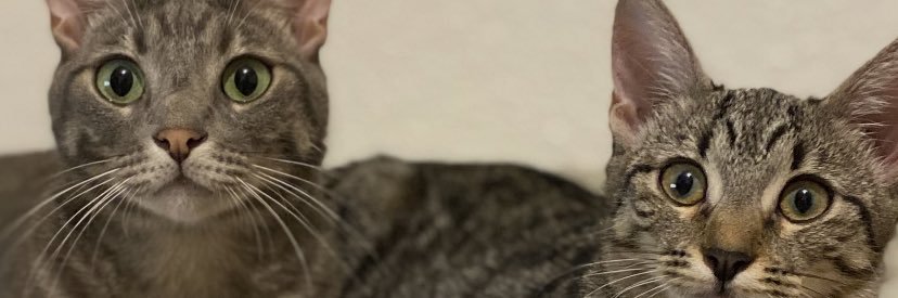 chaarleneee34's profile banner image