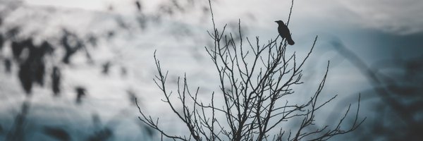 SGHartnell Profile Banner