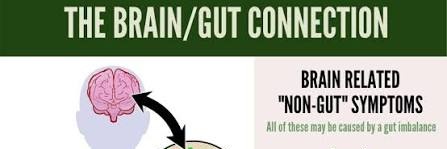 Nutrient-timing/Absorption-Theory banner