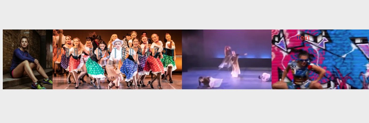 Lilypad021's profile banner image