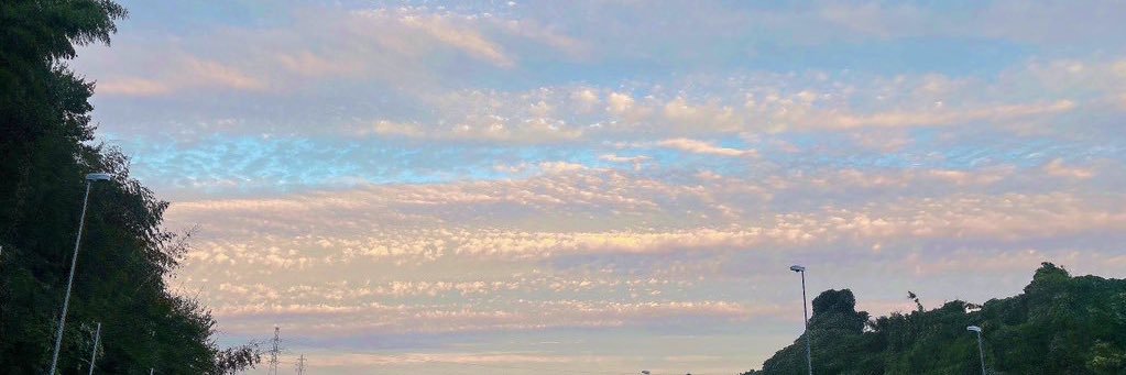 まるこ banner