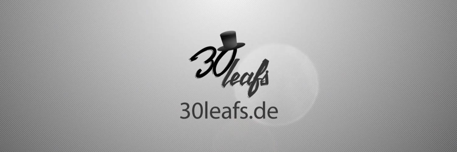 Leaf_389's profile banner image