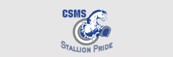 MsSlesinski Profile Banner
