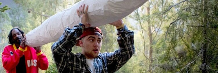 andreapichel's profile banner image