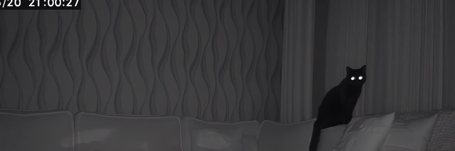 badasssquirrel_'s profile banner image