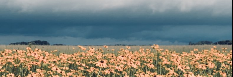 stephchoudek's profile banner image