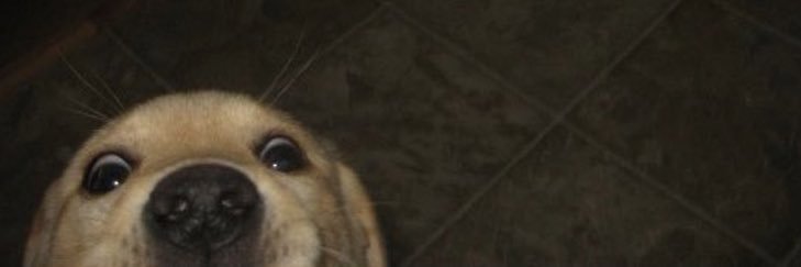 olkerbusraa's profile banner image