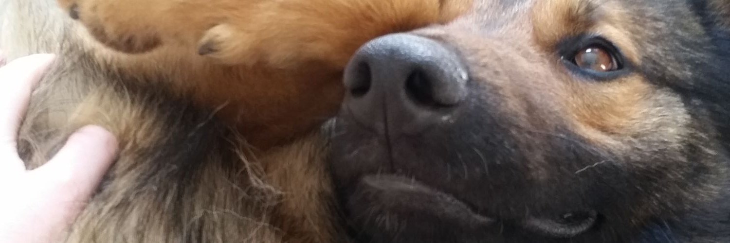destinymariesch's profile banner image