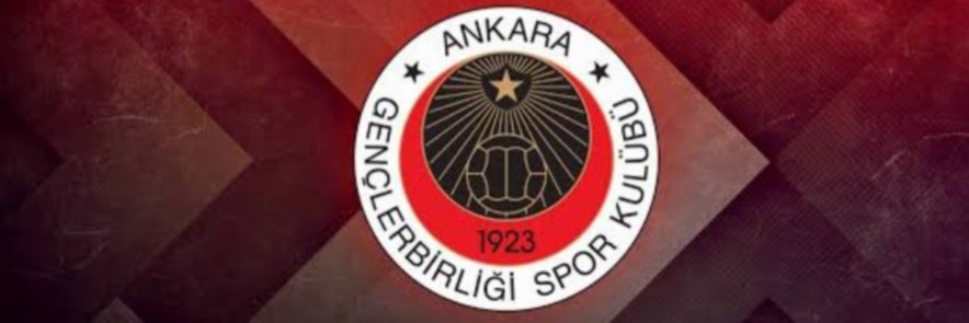 Bozok banner