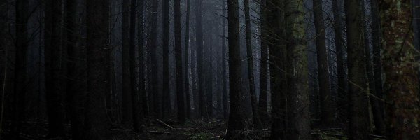 hauntingmonster Profile Banner