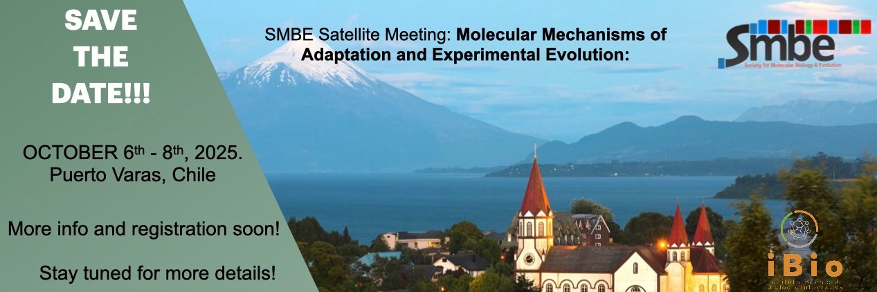 @smbe-chile2025.bsky.social banner