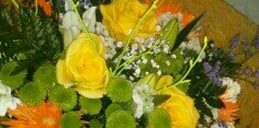 Beitagonzalez87's profile banner image