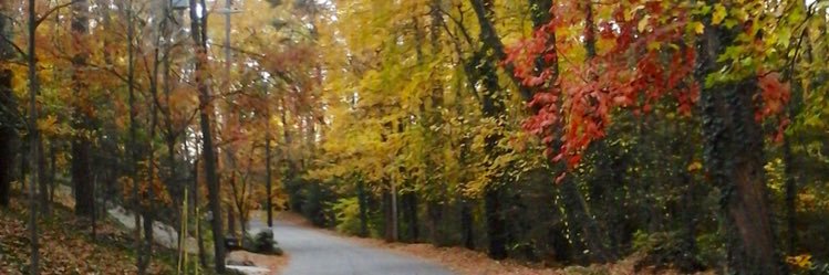 Alejandra Santorum ⭐️⭐️⭐️ banner