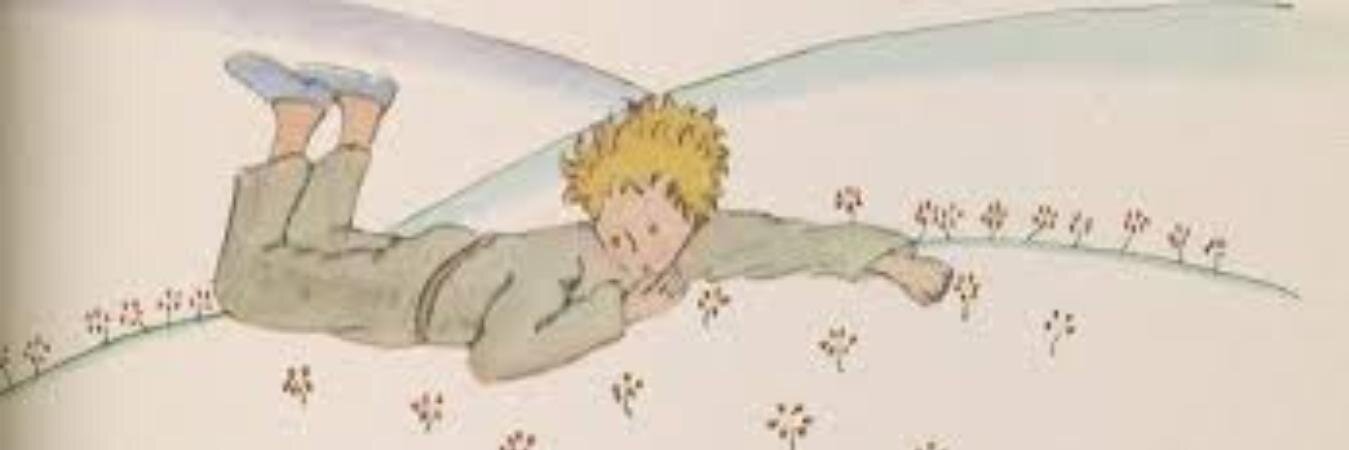 Eva_Dg_'s profile banner image