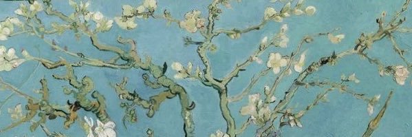 Sdiba_han's profile banner image