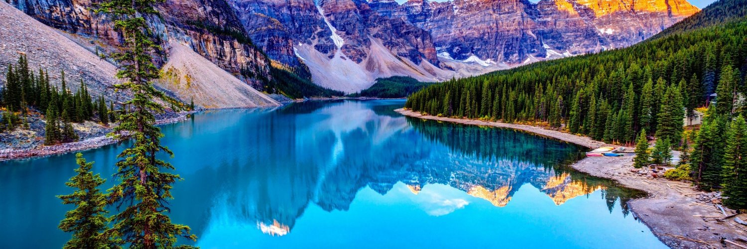 iTreeware's profile banner image