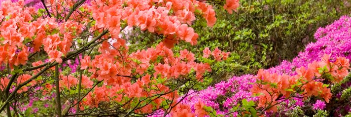 Marysville SD banner