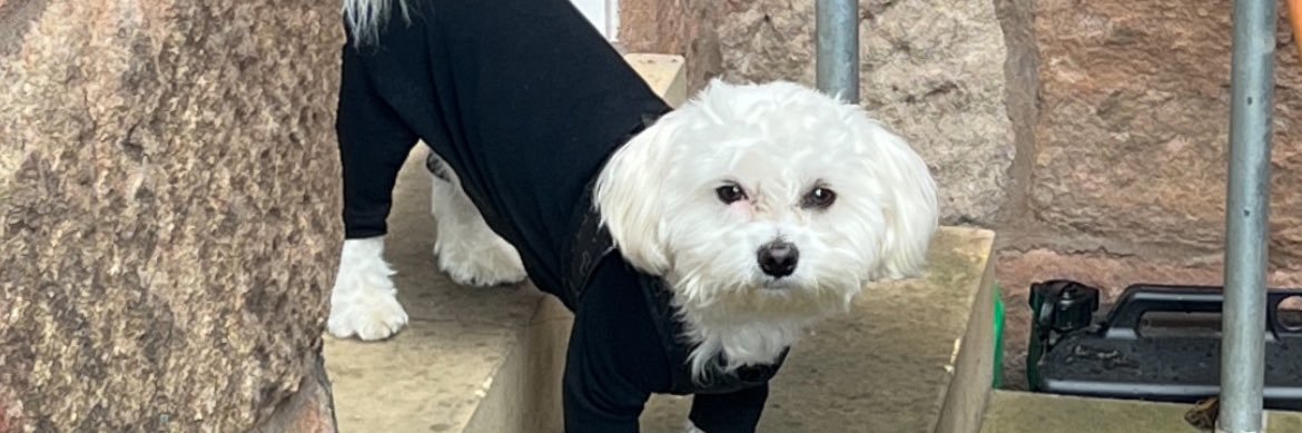 cathsophiajesus's profile banner image