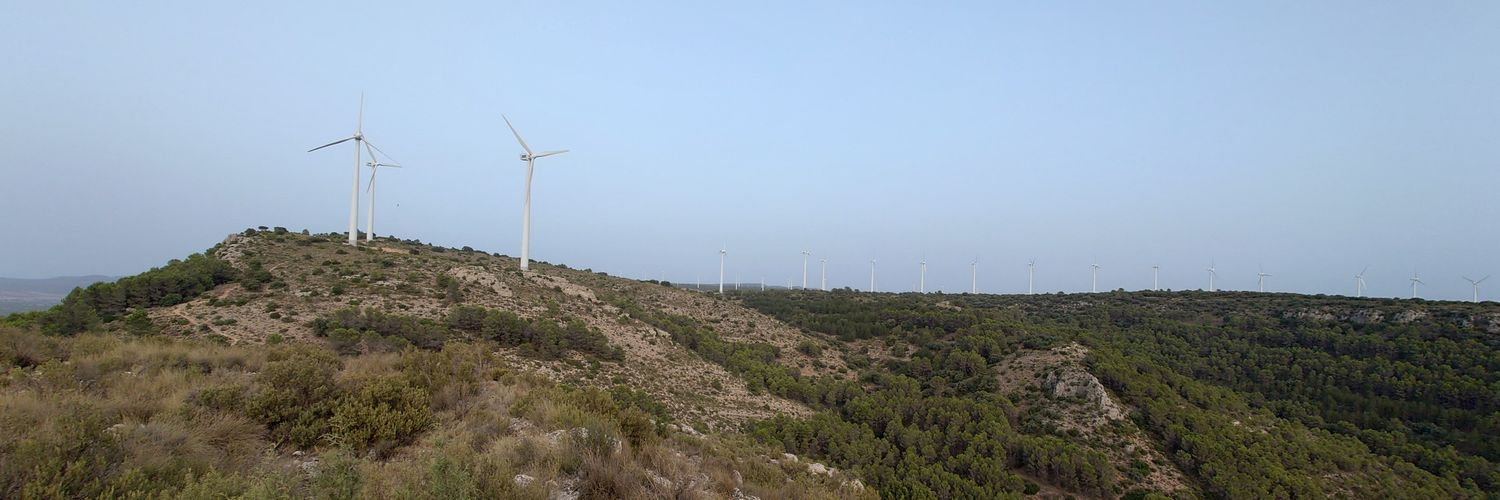 Alejandro Martínez banner