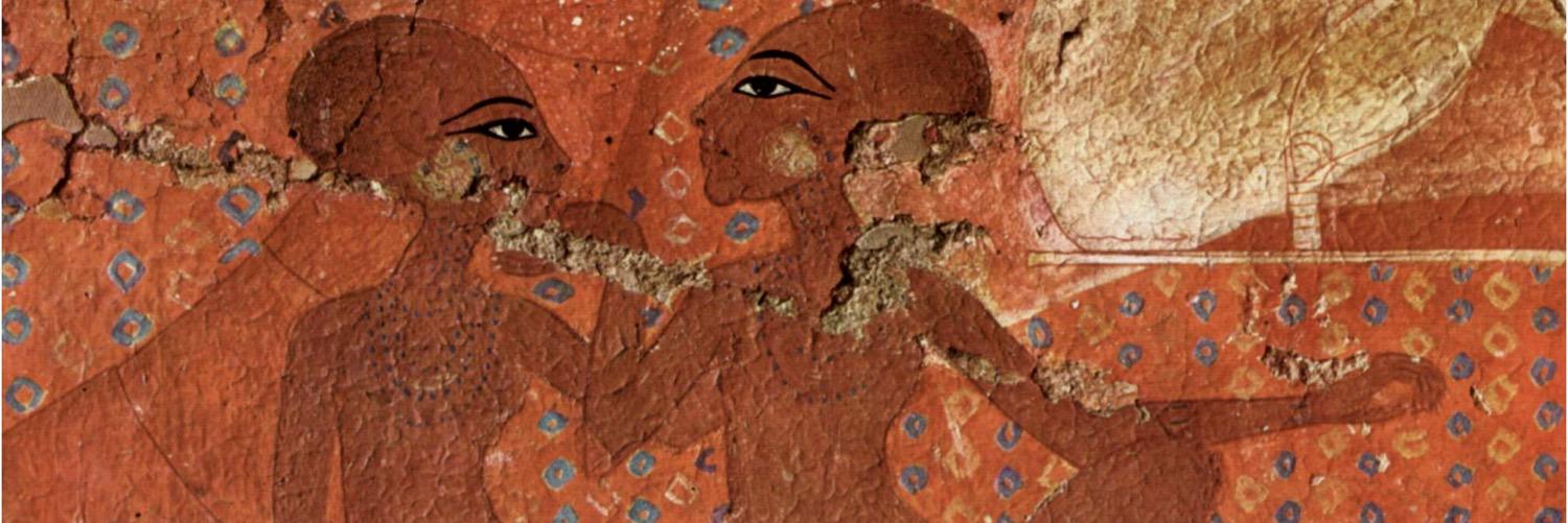 Meritxell Viciano banner