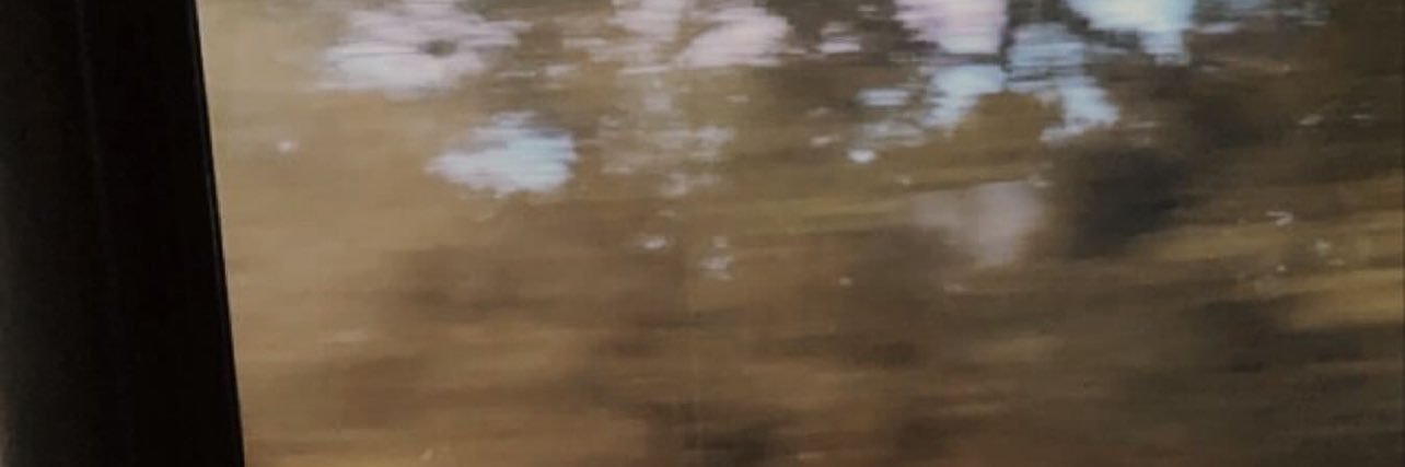 julia_tejeda's profile banner image