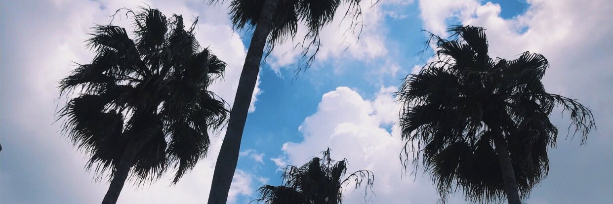 sbwestbrook's profile banner image