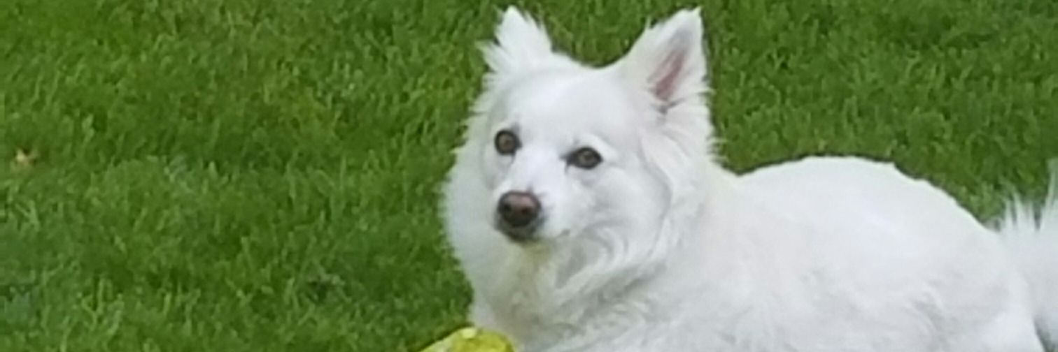 AmtheError's profile banner image