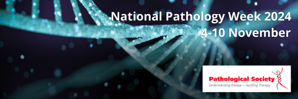 PathPresident Profile Banner