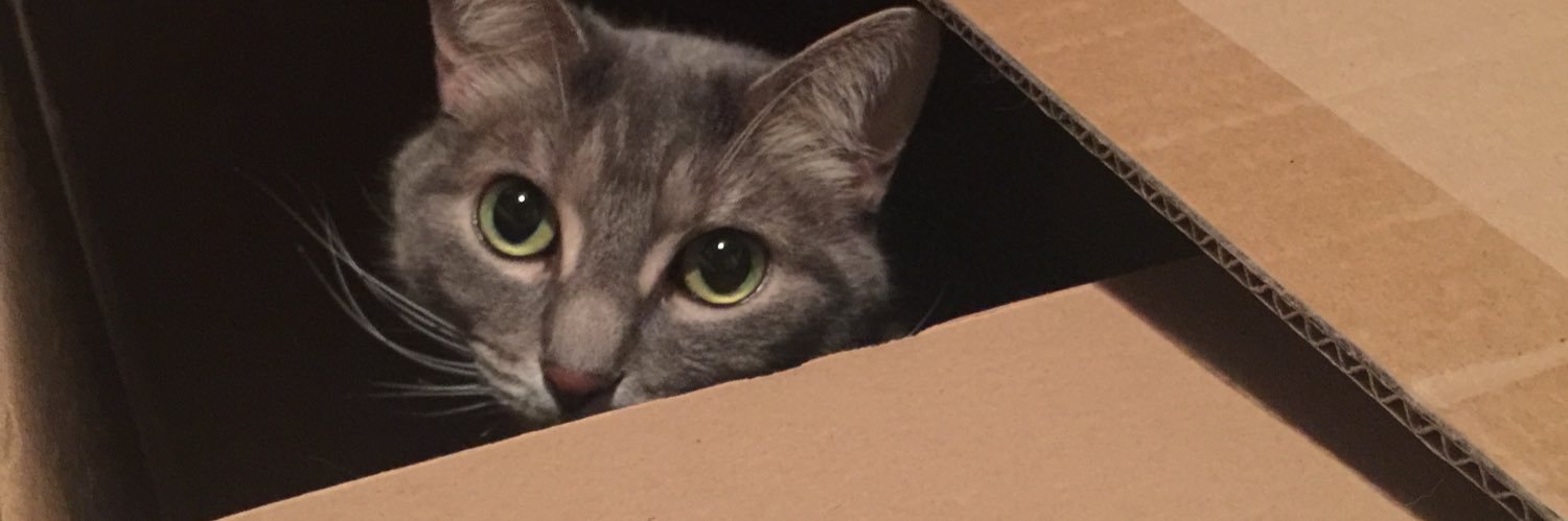alohfofbread's profile banner image