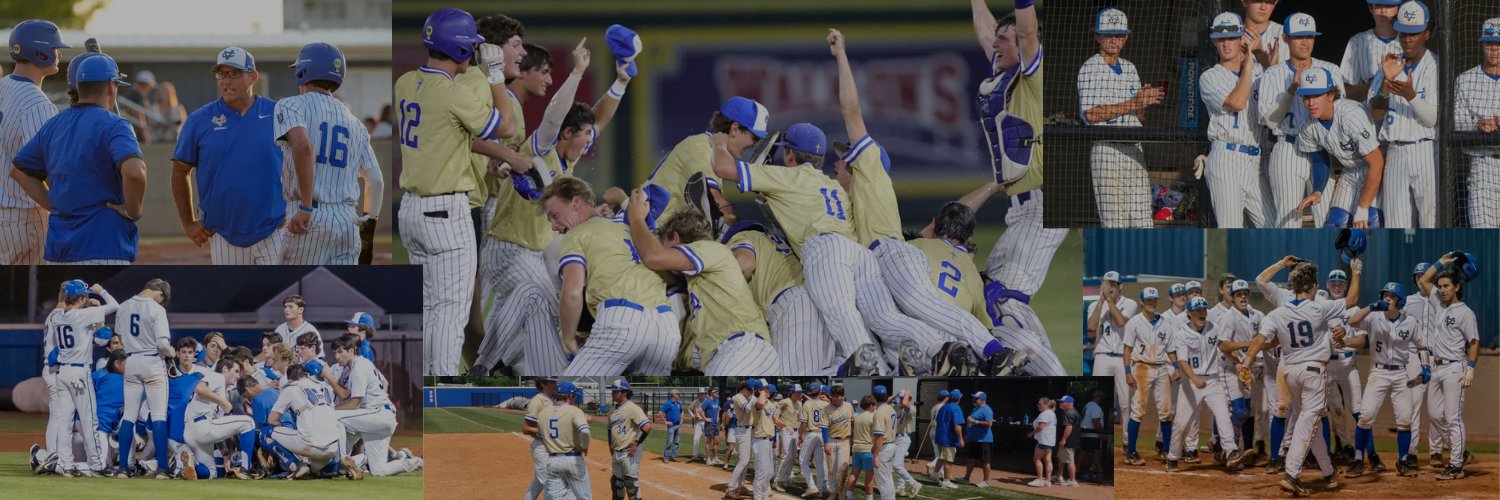 Vandebilt Catholic Terriers Baseball banner