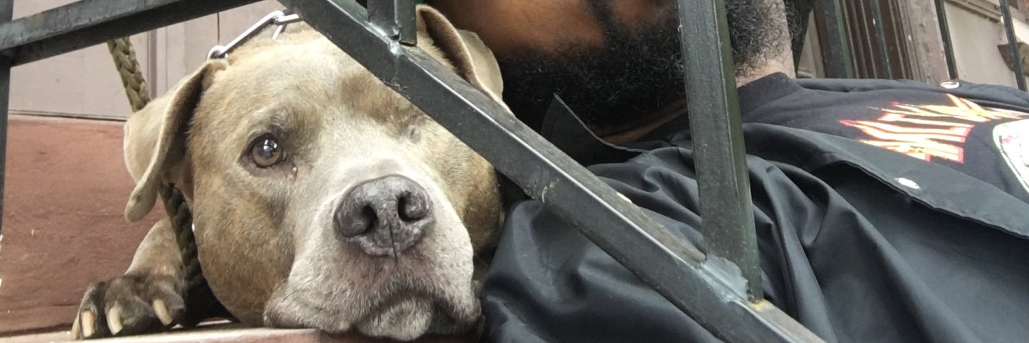 braxknuckles's profile banner image