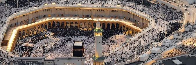 هاندا🕊️ banner