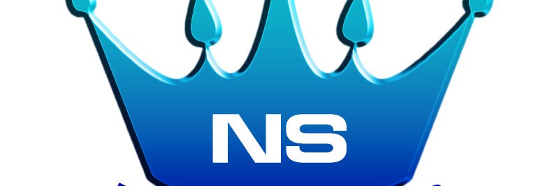 Netsservices banner