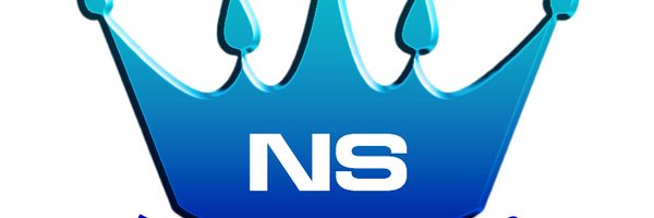 Netsservices Profile Banner