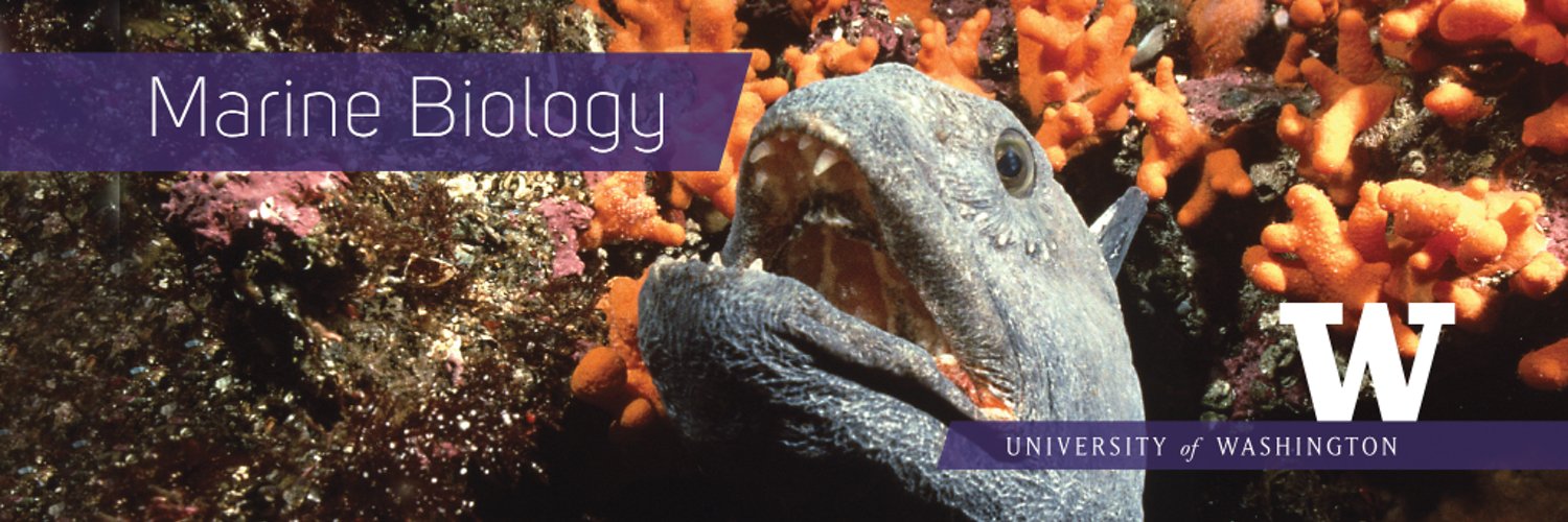 Marine Biology Profile Banner