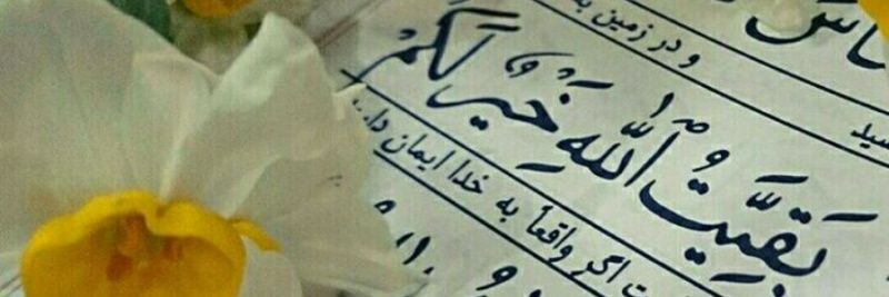 Babak's banner