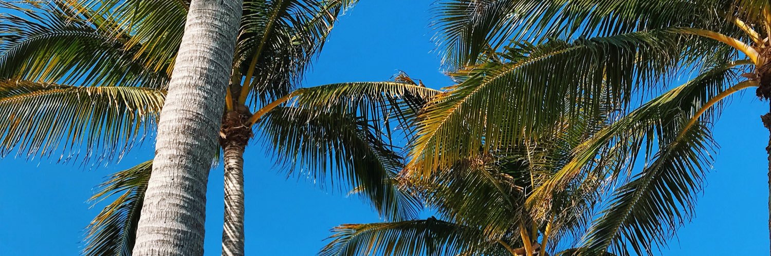 devinscelsi's profile banner image