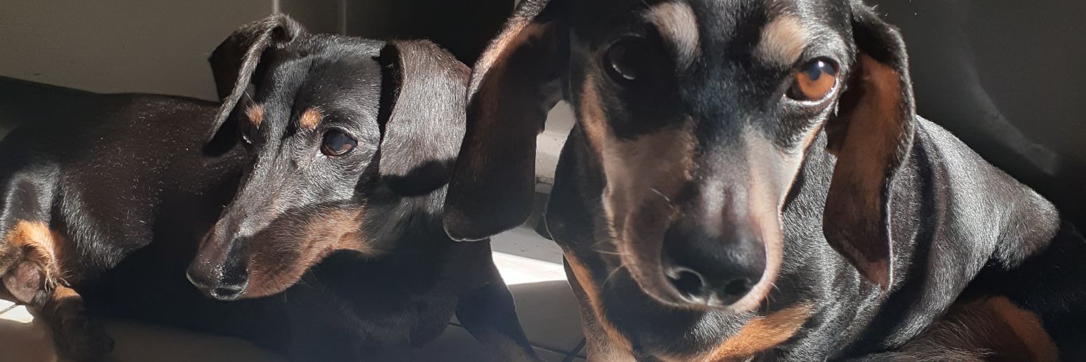 ValenCarly's profile banner image