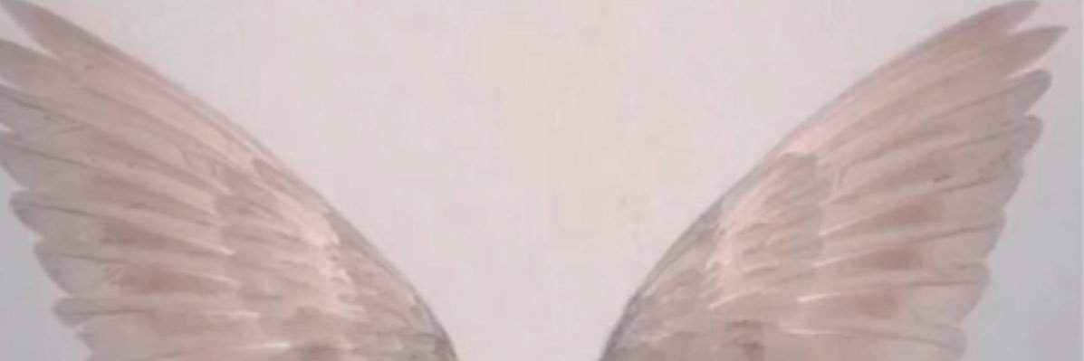 jadashayda's profile banner image