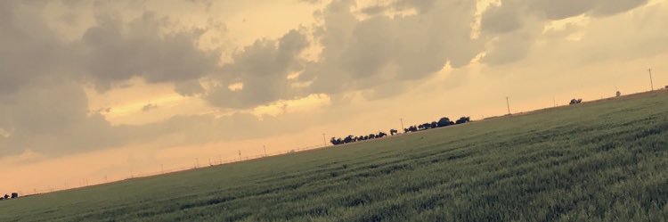 Tristyn_Mac's profile banner image