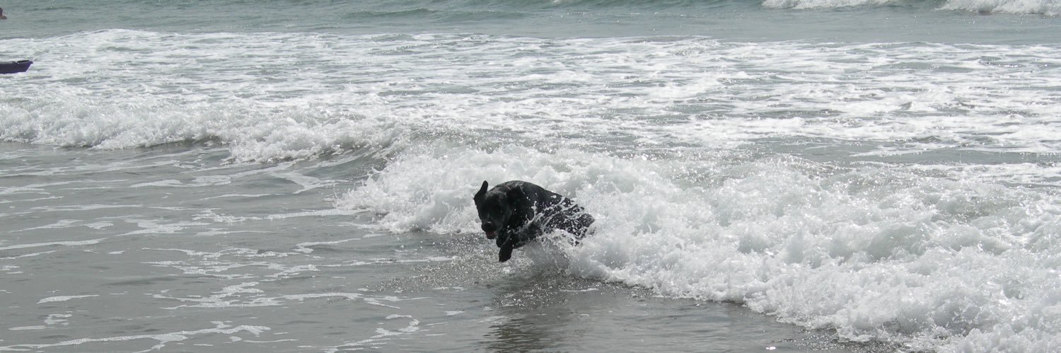 Stuart Hibbert banner