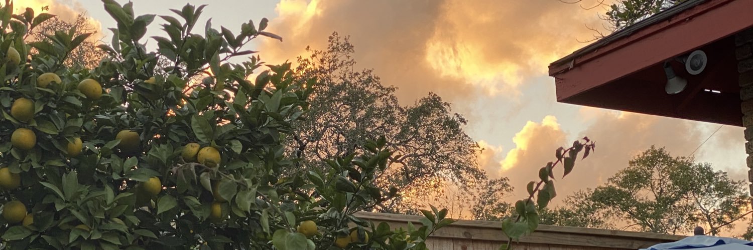 NaturallyAliaya's profile banner image