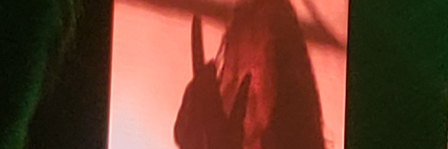LunaFayedragon's profile banner image