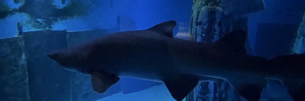 KOVA_AIM7 Profile Banner