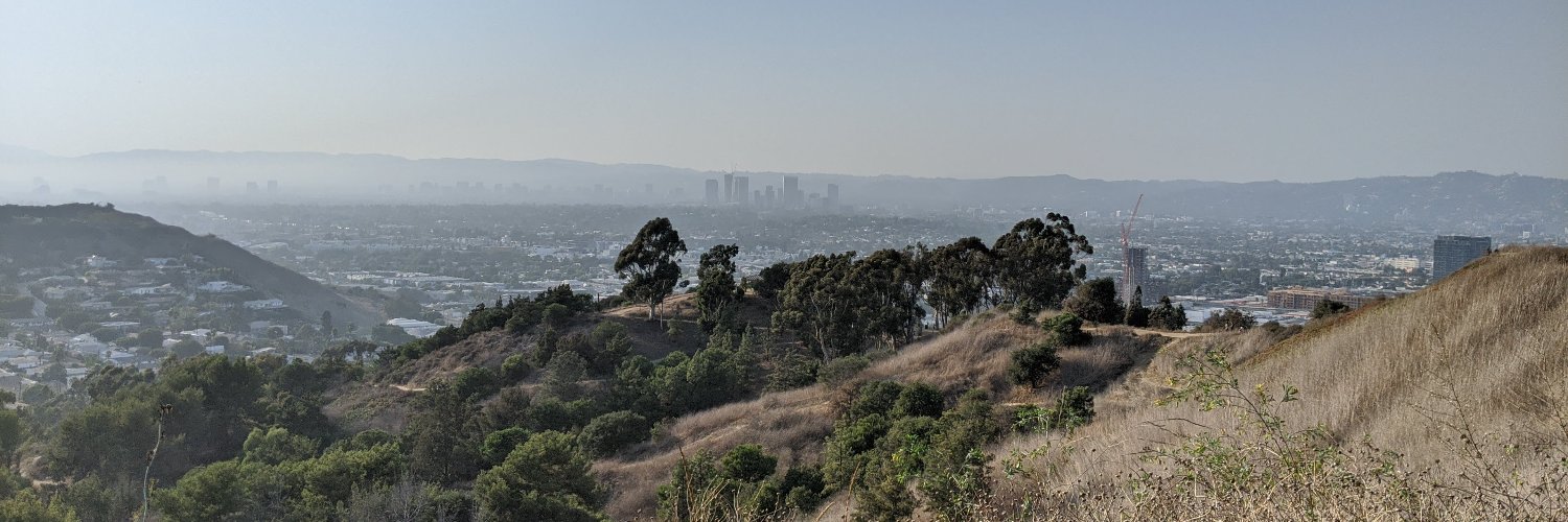 Nathan Hoffmann banner