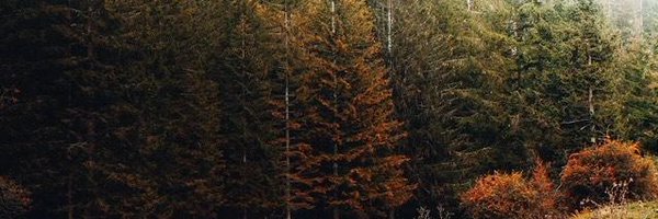 MoonSad63176 Profile Banner