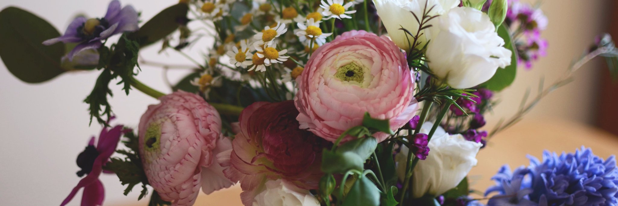 RaphaelleBonin's profile banner image