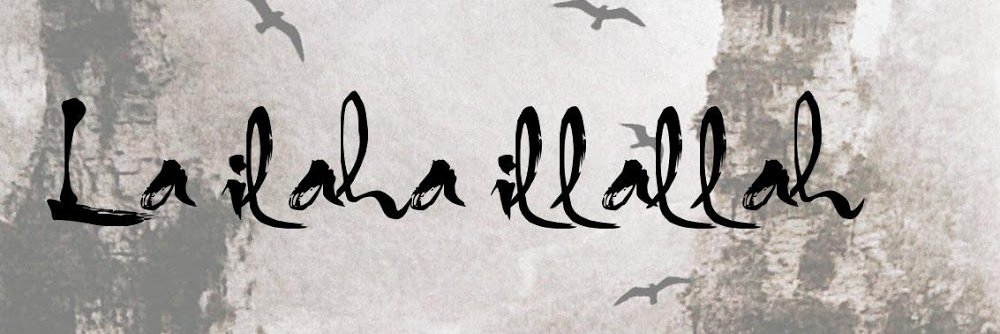 Reisakp2023's profile banner image